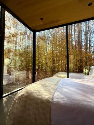 Sol Mirror House
