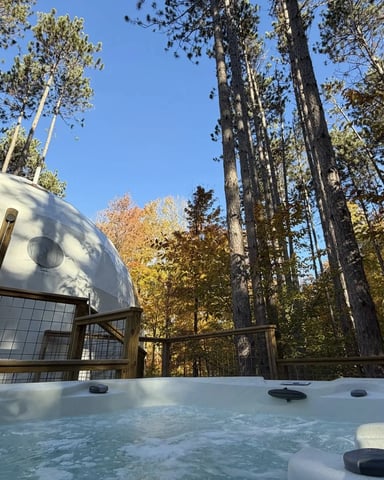 Hot tub, sauna, plunge